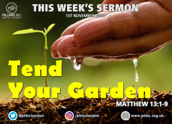 Tend Your Garden – Pastor Jasmine Richards