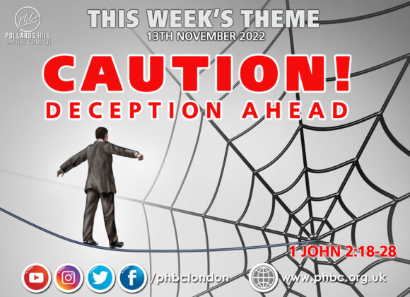 Caution: Deception Ahead – Pauline Barnes